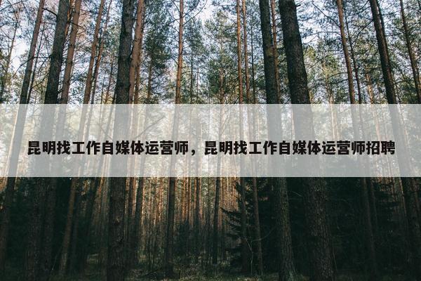昆明找工作自媒体运营师，昆明找工作自媒体运营师招聘
