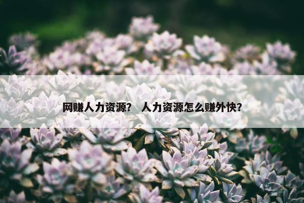 网赚人力资源？ 人力资源怎么赚外快？