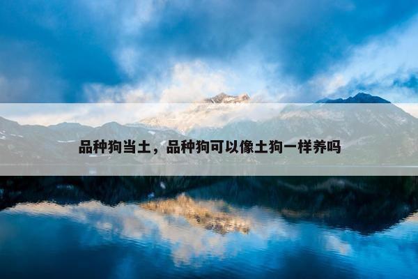 品种狗当土，品种狗可以像土狗一样养吗
