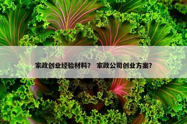 家政创业经验材料？ 家政公司创业方案？