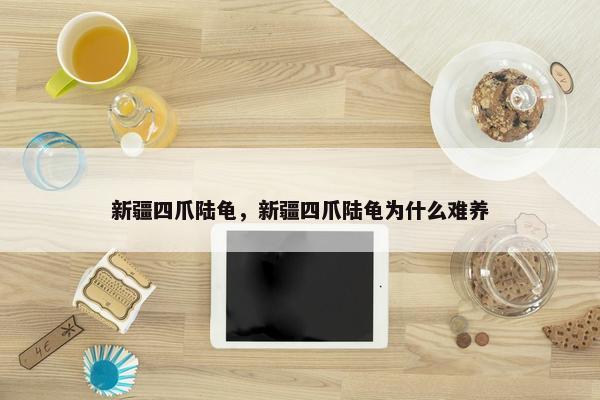 新疆四爪陆龟，新疆四爪陆龟为什么难养