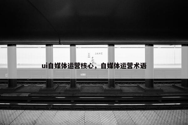 ui自媒体运营核心，自媒体运营术语