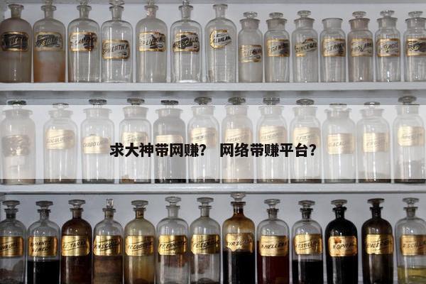求大神带网赚？ 网络带赚平台？