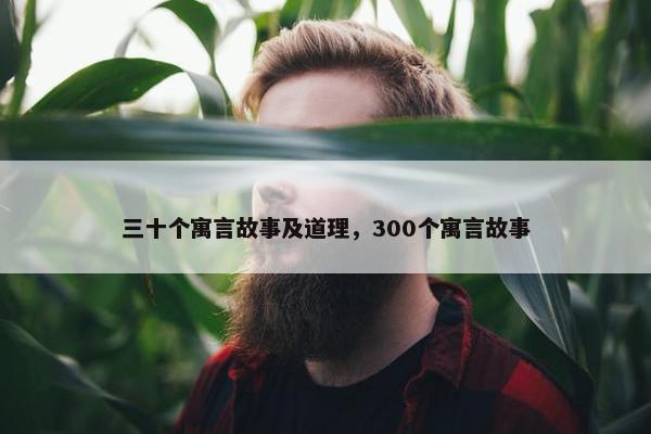 三十个寓言故事及道理，300个寓言故事