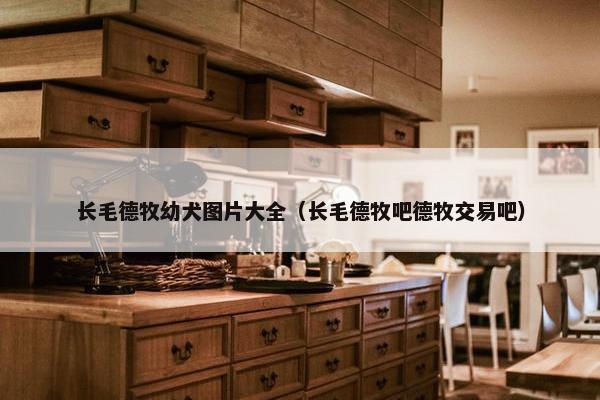 长毛德牧幼犬图片大全（长毛德牧吧德牧交易吧）