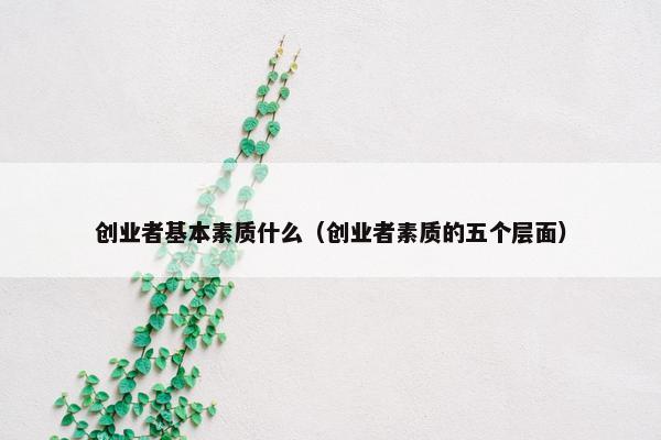 创业者基本素质什么（创业者素质的五个层面）