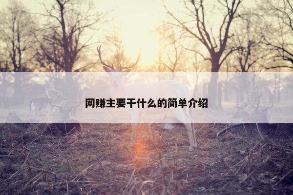 网赚主要干什么的简单介绍