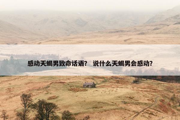感动天蝎男致命话语？ 说什么天蝎男会感动？