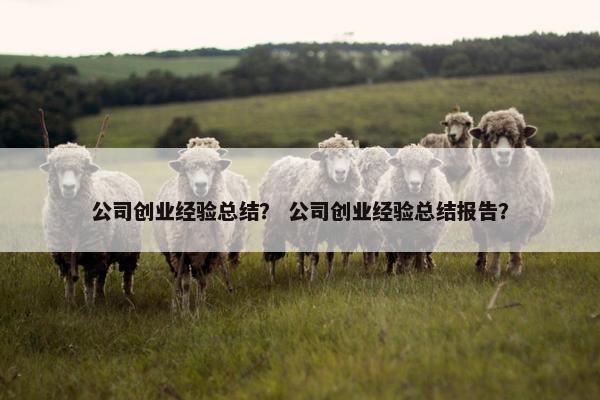 公司创业经验总结？ 公司创业经验总结报告？