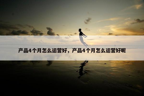 产品4个月怎么运营好，产品4个月怎么运营好呢