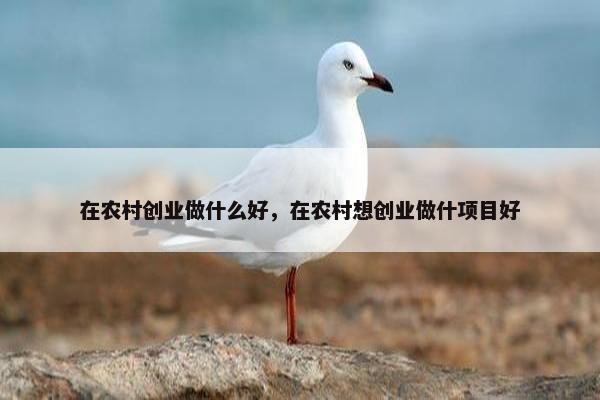 在农村创业做什么好，在农村想创业做什项目好