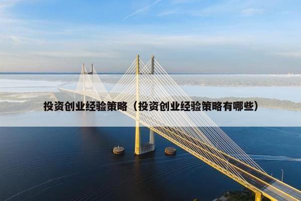 投资创业经验策略（投资创业经验策略有哪些）