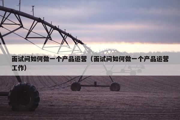 面试问如何做一个产品运营（面试问如何做一个产品运营工作）