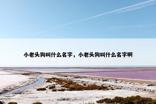 小老头狗叫什么名字，小老头狗叫什么名字啊