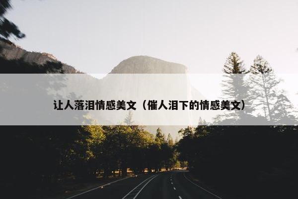 让人落泪情感美文（催人泪下的情感美文）
