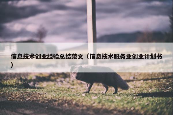 信息技术创业经验总结范文（信息技术服务业创业计划书）