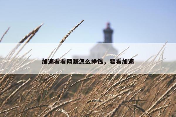 加速看看网赚怎么挣钱，要看加速
