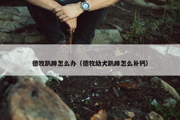 德牧趴蹄怎么办（德牧幼犬趴蹄怎么补钙）