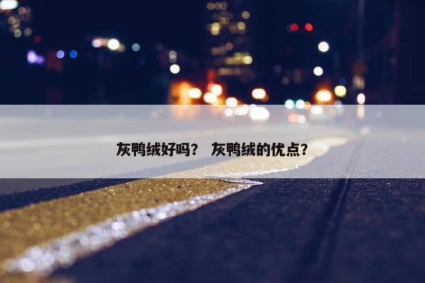 灰鸭绒好吗？ 灰鸭绒的优点？