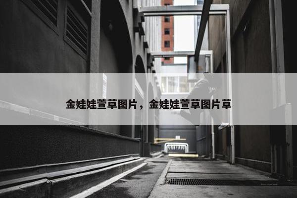 金娃娃萱草图片，金娃娃萱草图片草