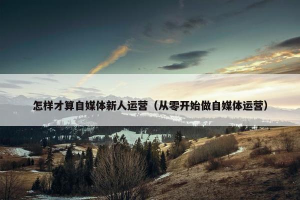 怎样才算自媒体新人运营（从零开始做自媒体运营）