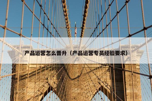 产品运营怎么晋升（产品运营专员经验要求）