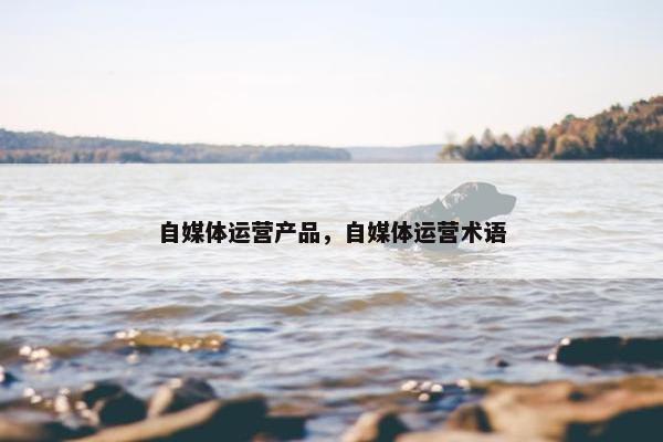自媒体运营产品，自媒体运营术语