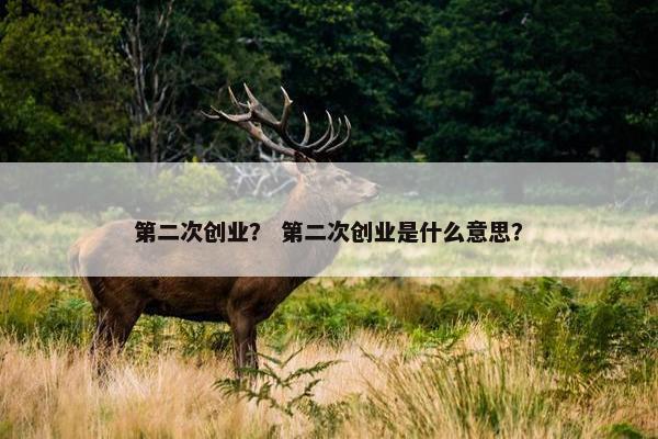第二次创业？ 第二次创业是什么意思？
