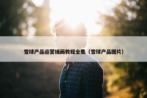 雪球产品运营插画教程全集（雪球产品图片）