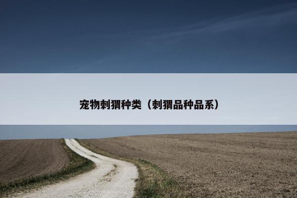 宠物刺猬种类（刺猬品种品系）