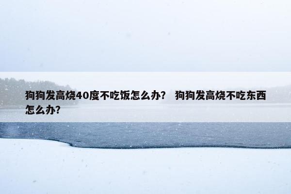 狗狗发高烧40度不吃饭怎么办？ 狗狗发高烧不吃东西怎么办？