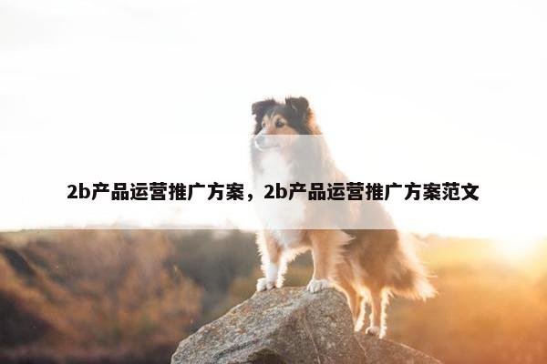2b产品运营推广方案，2b产品运营推广方案范文