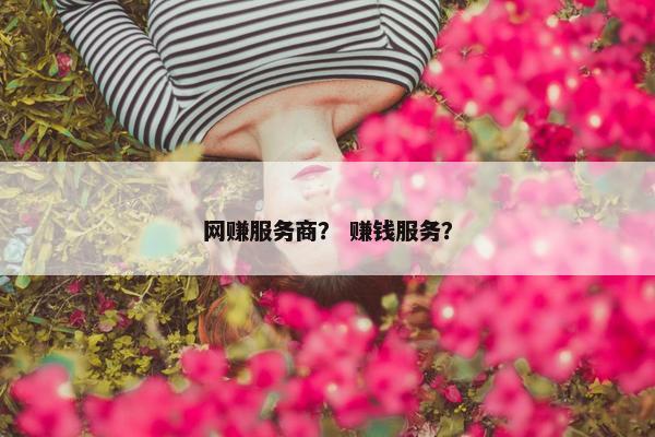 网赚服务商？ 赚钱服务？