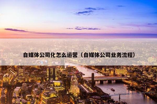 自媒体公司化怎么运营（自媒体公司业务流程）