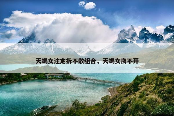天蝎女注定拆不散组合，天蝎女离不开