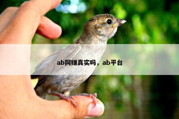 ab网赚真实吗，ab平台