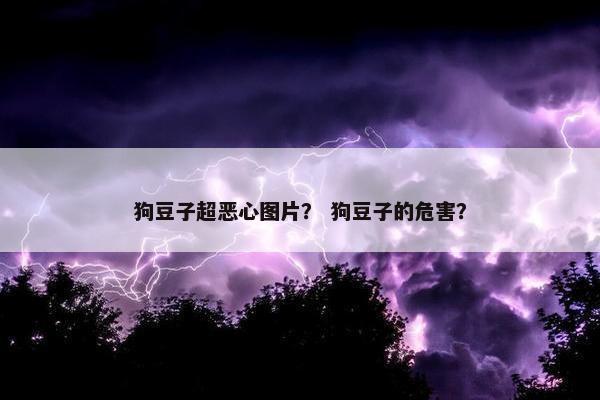 狗豆子超恶心图片？ 狗豆子的危害？