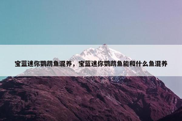 宝蓝迷你鹦鹉鱼混养，宝蓝迷你鹦鹉鱼能和什么鱼混养