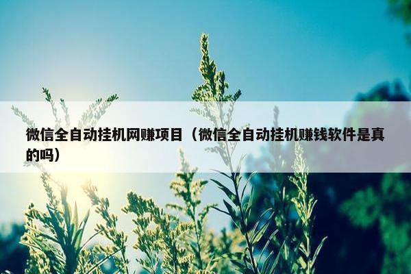 微信全自动挂机网赚项目（微信全自动挂机赚钱软件是真的吗）