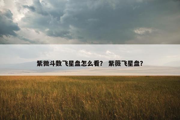 紫微斗数飞星盘怎么看？ 紫薇飞星盘？