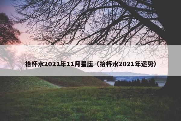 拾杯水2021年11月星座（拾杯水2021年运势）