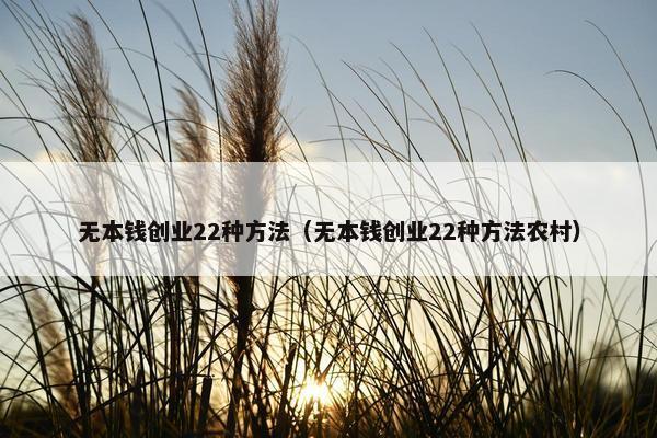 无本钱创业22种方法（无本钱创业22种方法农村）
