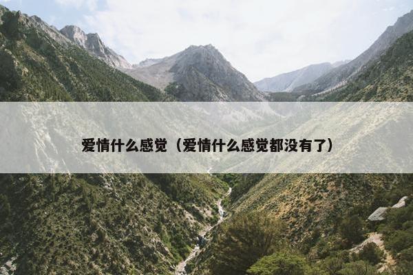 爱情什么感觉（爱情什么感觉都没有了）