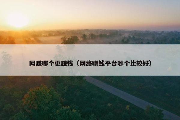 网赚哪个更赚钱（网络赚钱平台哪个比较好）