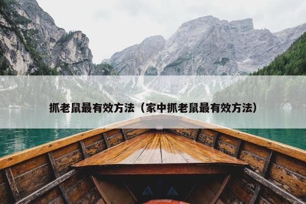 抓老鼠最有效方法（家中抓老鼠最有效方法）