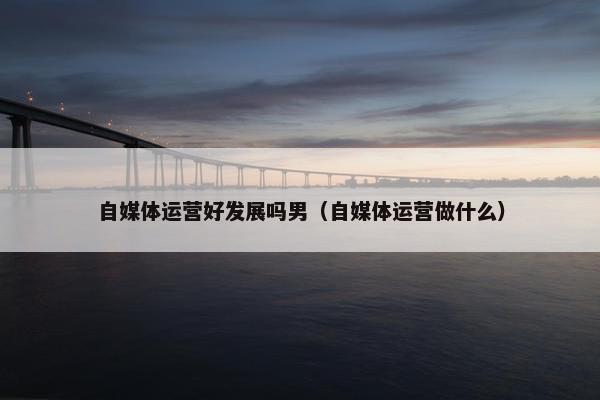 自媒体运营好发展吗男（自媒体运营做什么）