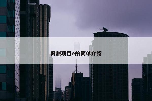网赚项目e的简单介绍