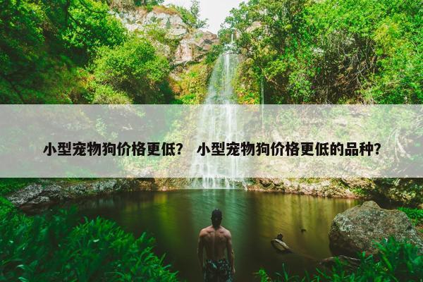 小型宠物狗价格更低？ 小型宠物狗价格更低的品种？