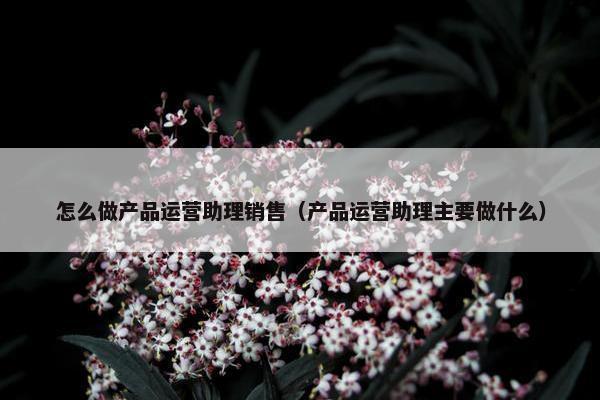 怎么做产品运营助理销售（产品运营助理主要做什么）