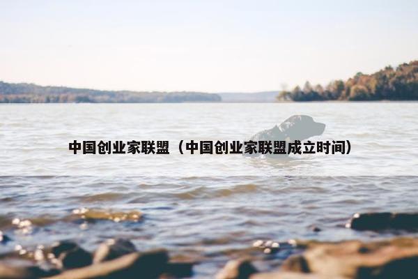 中国创业家联盟（中国创业家联盟成立时间）